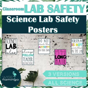 Preview of Science Lab Safety Rules Posters PRINT SCIENCE CLASSROOM
