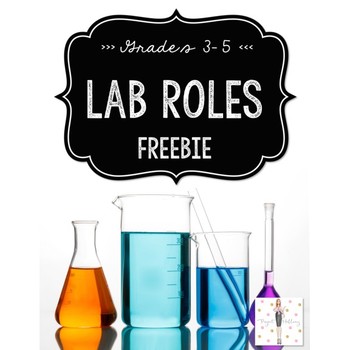 Preview of Science Lab Roles FREEBIE! {Black/White/Gold}