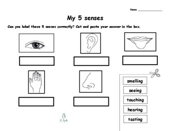 Preview of Science - Label the 5 senses (cut and paste)