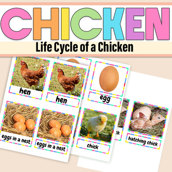 Preview of Science Life Cycle  a Chicken | Life Cycle of a Chicken Montessori 3-part cards