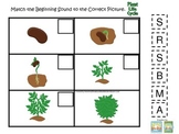 Science Life Cycle of a Plant Beginning Sounds preschool h