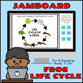 Preview of Life Cycle of a Frog! Fun & Engaging Digital Google JamBoard Activity!