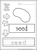 Science Life Cycle of a Plant Color, Read, Trace preschool