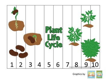 Preview of Science Life Cycle of a Plant Number Sequence Puzzle 1-10 preschool homeschool