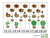 Science Life Cycle of a Plant Number Sequence Puzzle 11-20
