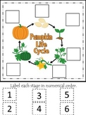 Science Life Cycle of a Pumpkin Numerical Order preschool 