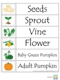 Science Life Cycle of a Pumpkin themed Word Wall for presc