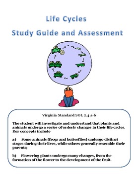 Preview of Science:  Life Cycles Assessment and Study Guide