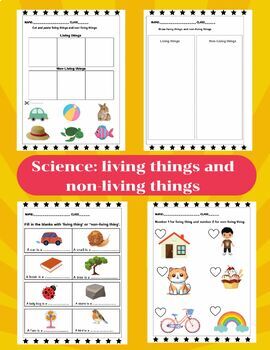 Preview of Science: Living things and non living things /activities