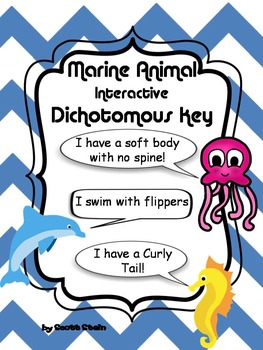 Preview of Identifying Ocean Animals Dichotomous Key
