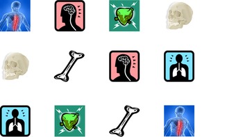 Preview of Science Memory: Anatomy