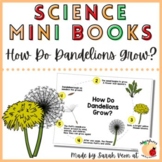 Science Mini Books - Dandelion Life Cycle