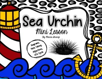 Preview of Science Mini Lesson: Sea Urchins