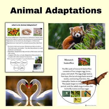 Preview of Little Science Thinkers Animal Adaptations Reading April Spring Activities