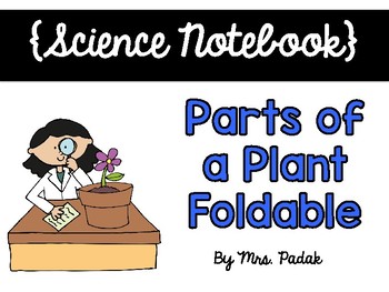 Preview of {Science Notebook} - Parts of a Plant Foldable