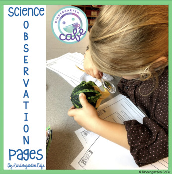 kindergarten science objectives
