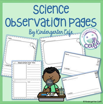Science Observation Pages by Kindergarten Cafe | TpT