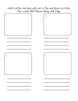 Science Observations Graphic Organizers by School Days with Smith