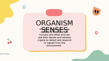 Preview of Science Organism Senses PowerPoint