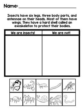 Preview of Science- Parts of an Insect- Insect Sorting Activity