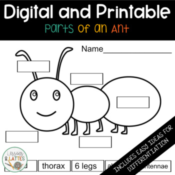 science parts of an insect worksheet printable and digital for distance learning