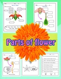 Science: Parts of flower