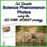 Science Phenomenon for 1st Grade  See Think Wonder