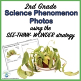 Science Phenomenon for 2nd Grade See Think Wonder
