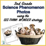 Science Phenomenon for 3rd Grade See Think Wonder