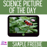 Science Picture of the Day Sample Freebie