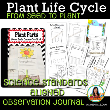 Preview of Plant Life Cycle Journal Earth & Life Science