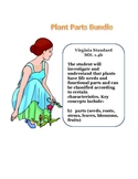 Science: Plant Parts Bundle
