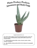 Science: Plant Products Assessment and Study Guide