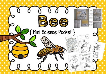 Science Pocket Bee