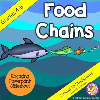Preview of Science PowerPoint-Food Chains Grades 4-6 NGSS