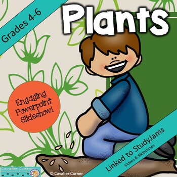 Preview of Science PowerPoint-Plants Grades 4-6 NGSS