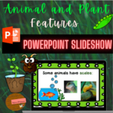 Science: Powerpoint (Grouping Animals and Plants by Featur