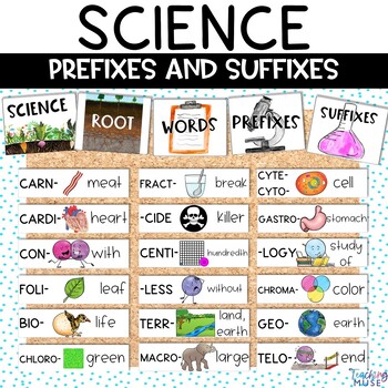 Preview of Science Prefixes and Suffixes Bulletin Board