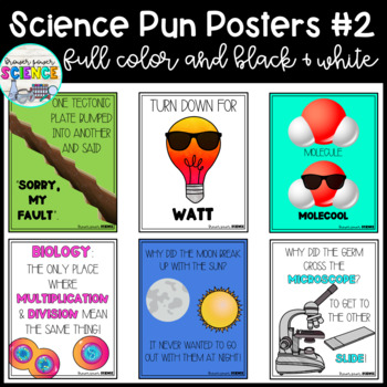 Preview of Science Pun Posters Set #2 | Science Bulletin Board