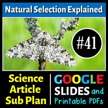Preview of Natural Selection Explained Sub Plan - Science Reading #41 (Google Slides, PDFs)
