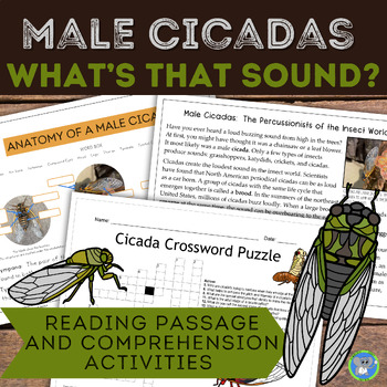 Preview of Science Reading Comprehension | Male Cicada Anatomy And Sound Product Activities