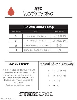 Preview of Science Reference Sheet - ABO Blood Typing