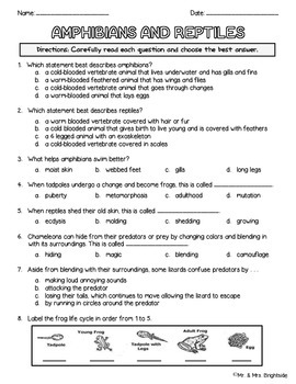 behavior worksheet animal answers Mr Amphibians Animals: Understanding by and Reptiles and