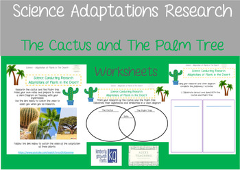 Preview of Science Research of Adaptations of Plants In The Desert