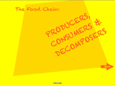 Science - Review the Food Chain