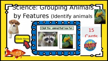 Preview of Boom Cards- SKL2 Grouping Animals by Features (Identify animals with fur)