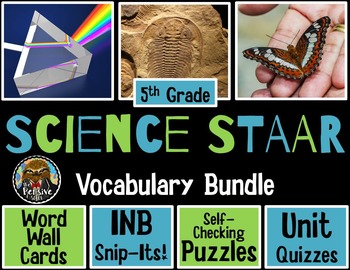 STAAR Reading Vocabulary Word Wall / Hot Seat Game (Print & Play!)