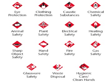 Science Safety Rules by Outside these Classroom Walls | TPT