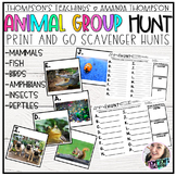 Science Scavenger Hunt- Animal Groups