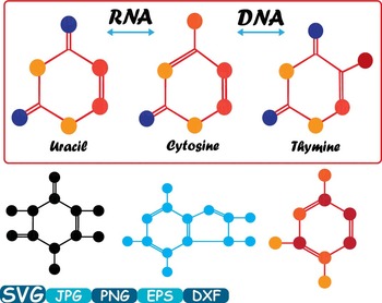 Preview of Science School Molecules atom molecule SVG DNA RNA structure genetics genes 350s